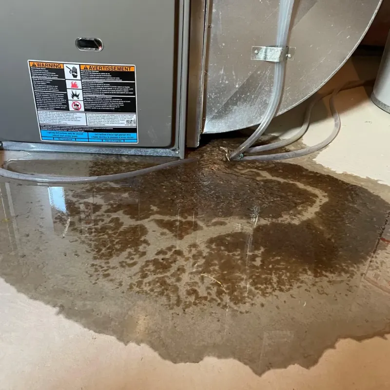 Appliance Leak Cleanup in Dexter, MI