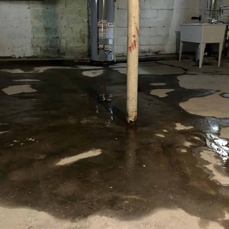 Emergency Water Extraction And Removal in Dexter, MI